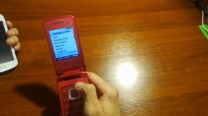 Samsung C3520 La'Fleur для девочек обзор.