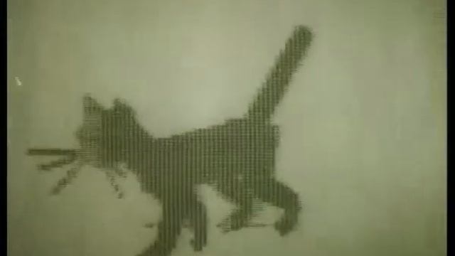 Математическая модель движения кошечки смотреть онлайн