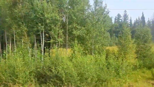 Вид из окна поезда. Сибирь под стук колес @ View from the train window. Siberia (Russia) 3 смотреть онлайн