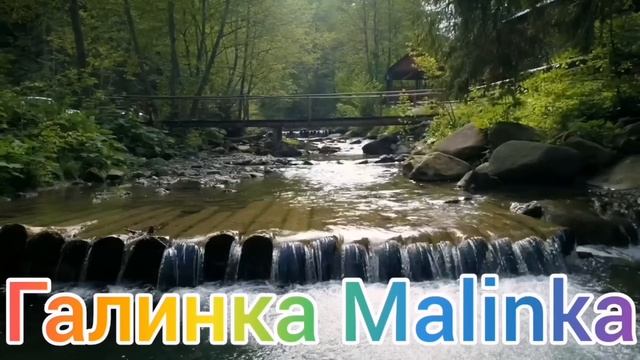 Ольга Уралочка live /Его участь решена /Обзор Влогов /Уралочка и Сафар /