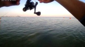 Барабулька на рассвете в проводку. Анапа. Центральный пляж. #anapa #барабулька #рыбалка