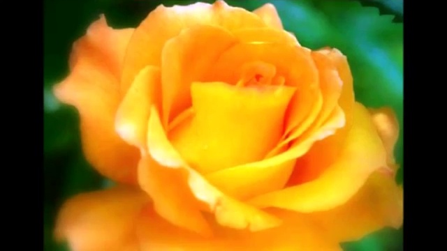 Нам нельзя друг без друга смотреть онлайн