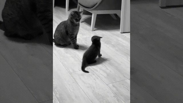 На экзамене.