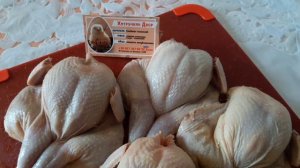 УНИКАЛЬНАЯ порода перепела. Отличие Техасский белый от Английский белый.