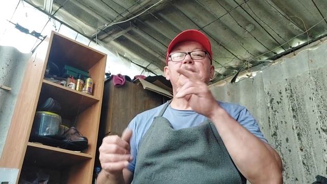 Ремонт обуви. огород. 23.05.2022.глухих смотреть онлайн