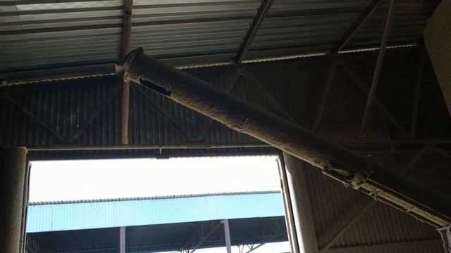 Дезинфекция коровников Часть 4 как кормят и чем? смотреть онлайн