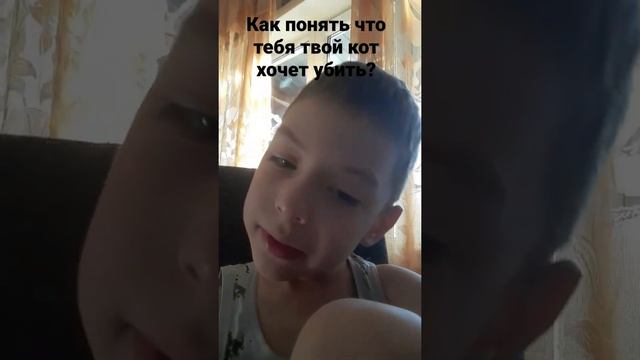 Как понять что твой кот тебя хочет убить?