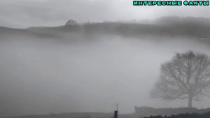 ✔️ИНТЕРЕСНЫЕ ФАКТЫ О ТУМАНАХ.