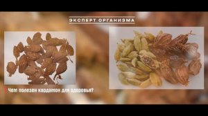 ВРАЧИ делают это сами, но СКРЫВАЮТ от нас! Возьмите одно ЗЕРНО и добавьте...