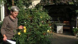 Роза Д. Остина The Poets Wife Жена поэта Отзыв 2020 год