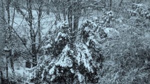 PAYSAGES de NEIGE à RUEIL-MALMAISON