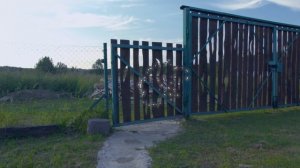 Ариана Карабаева "Ветер" (с анимацией, сл. и муз. А.Петряшева)