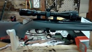 Грубая пристрелка оптики на мелкокалиберный Ремингтон
