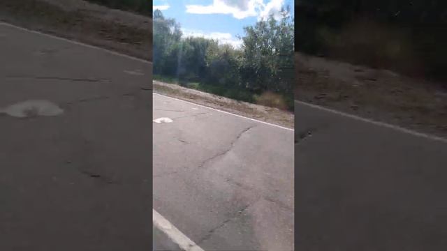 Максимальная скорость ПАЗика) смотреть онлайн