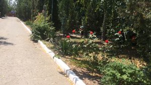База отдыха " Лада" в станице Голубицкая