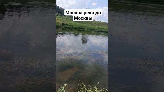 Москва река чистая и не глубокая в районе Рузы. 22.06.2023