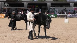 КАБАРДИНЦЫ: сравнительный ринг, приз ЗРИТЕЛЬСКИХ симпатий #ИППОсфера 2021 Созвездие Шагди