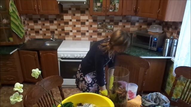 Посадка 5 летней орхидеи в закрытую систему смотреть онлайн