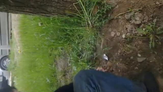 Похороны шмеля смотреть онлайн