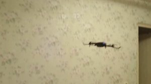 полёт дрона F185 PRO