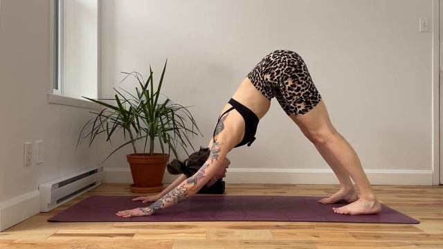 Мягкая растяжка | Йога для начинающих смотреть онлайн