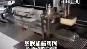 Горизонтально упаковочная машина Hualian Machinery DXDZ