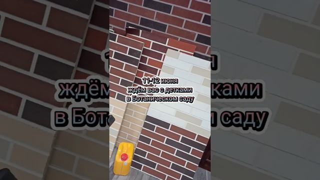 Гибкий кирпич BRICKBEL на фестивале "БУКИДС. ПРОФЕССИИ"