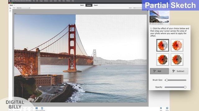 Learn Photoshop Elements 2022 - Guided Mode - All 19 Fun Edits Features Explained in Detail! смотреть онлайн
