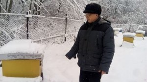 Пасека Лаврова. Зимовка продолжается, контроль пчелосемей.