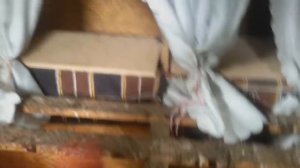 100 % способ отучить кур клевать яйца