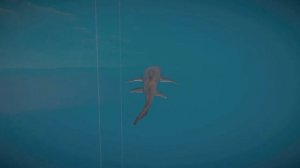 Tawny Nurse Shark - Planet Zoo Mods