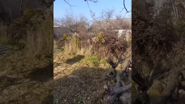 Дренаж участка! БЕСПЛАТНЫЙ  Дедовский способ работает 100%