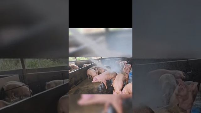 1000002313.mp4 смотреть онлайн