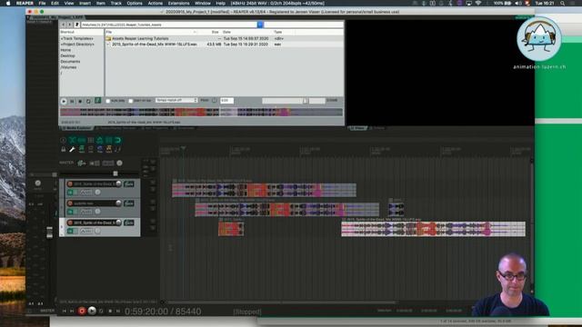 Reaper Tutorial 1c) Hello Reaper: Inserting Audio/ Audio Playback/ Loop смотреть онлайн