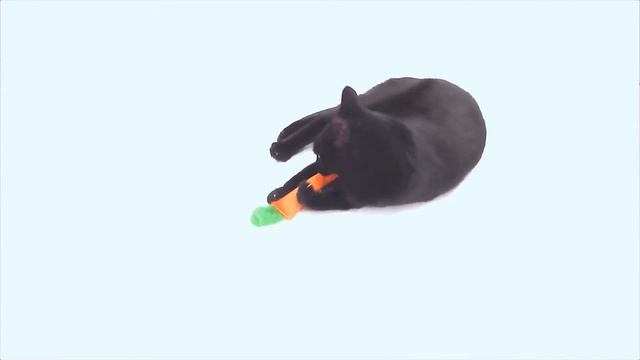 Эффект кошачьей мяты, испытываем на Васе смотреть онлайн