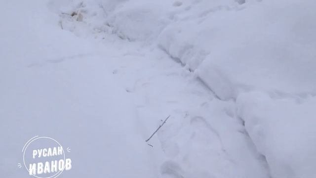 Как выставить правильно опалубку под армопояс одному человеку без помощников.Готовим опалубку...