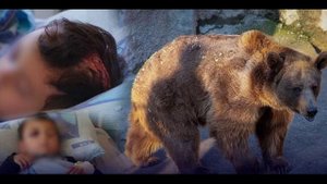 Суд решил судьбу матери, бросившей трёхлетнюю дочь в вольер к медведю в ташкентском зоопарке.