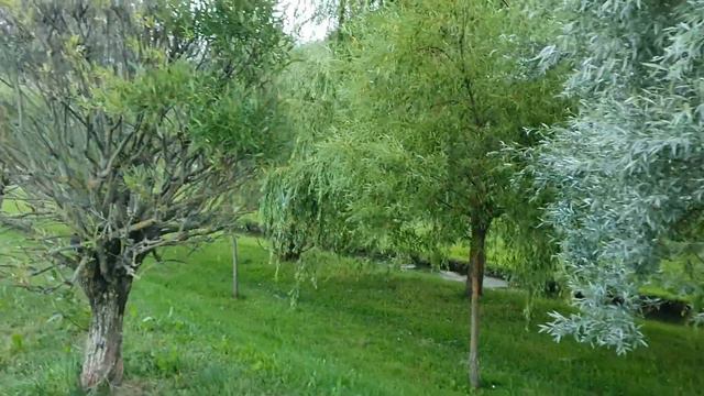 Лена и Ваня LIFE \ Устала от поездок, но в Грузию поедет! Лишь бы ДОМА НЕ ОСТАВАТЬСЯ! \ Обзор влого