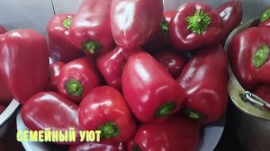 Перец в рассоле на зиму! Если не сделаете это сейчас - зимой пожалеете!