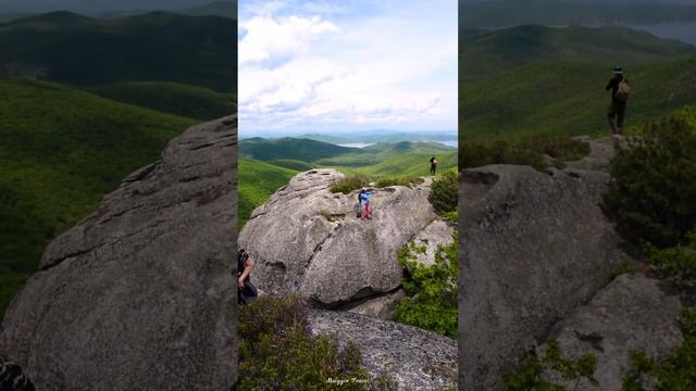 Цветение багульника на Скальном комплексе "Самоварка". Ольгинский район