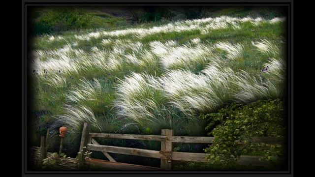 В СТЕПИ Владимир Асмолов смотреть онлайн