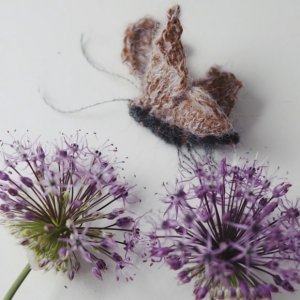 Игрушки из коллекции