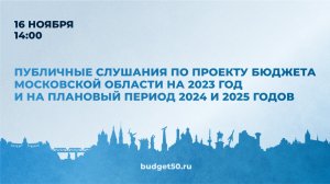 Публичные слушания по проекту бюджета Московской области