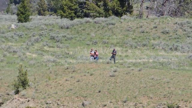 Super Zoom Maquina fotográfica Parque Yellowstone - Coolpix Nikon P510 смотреть онлайн