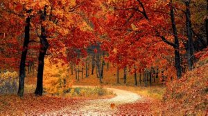 Autumn maditation. Осень прекрасная пора. Медитация.