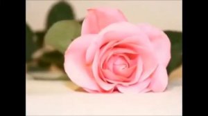 День рождения дочери 23 02 2014г