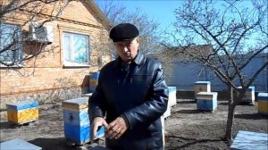 Работа с ульями Рута.