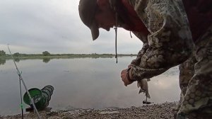 С ночевкой на леща. Рыбалка на фидер. Самарка южный мост.