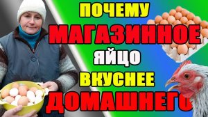 Почему магазинное яйцо ВКУСНЕЕ домашнего?