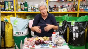 309 Как отличить ремантантную малину от обычной?